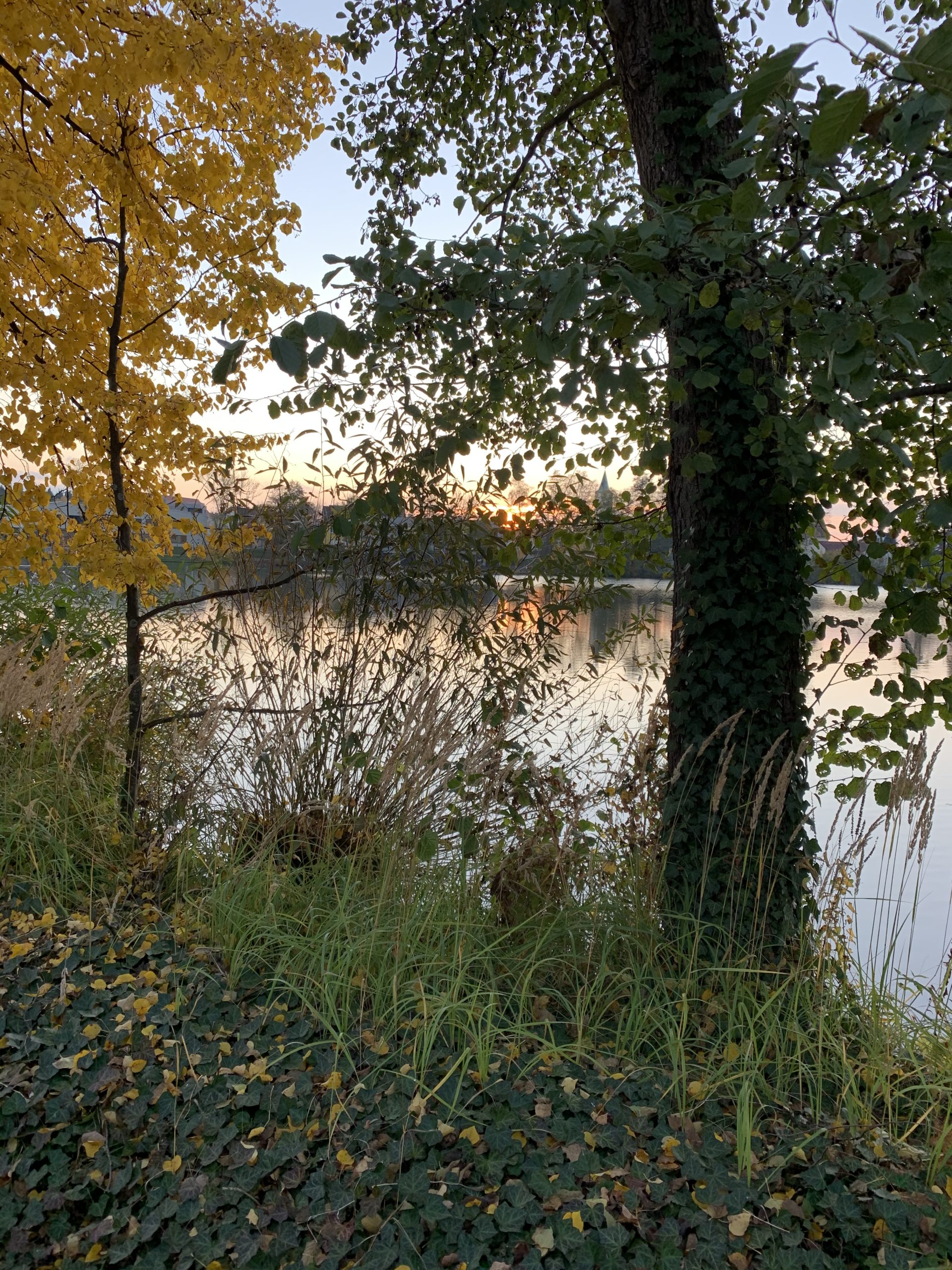 Herbst-Baeume-Christian-Wolf